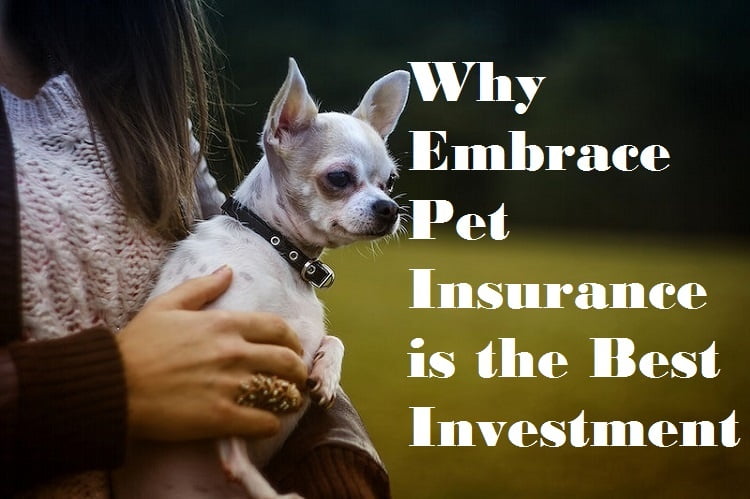 Pet Insurance in Indiana